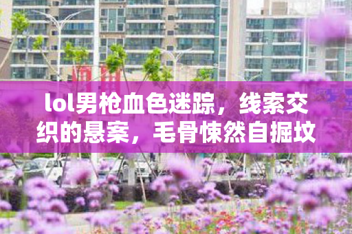 lol男枪血色迷踪,线索交织的悬案,毛骨悚然自掘坟墓 lol男枪血色迷踪,线索交织的悬案,毛骨悚然自掘坟墓