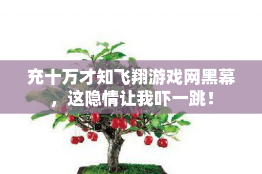 充十万才知飞翔游戏网黑幕,这隐情让我吓一跳! 充十万才知飞翔游戏网黑幕,这隐情让我吓一跳!