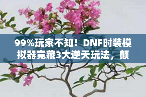 DNF时装模拟器竟藏3大逆天玩法图片