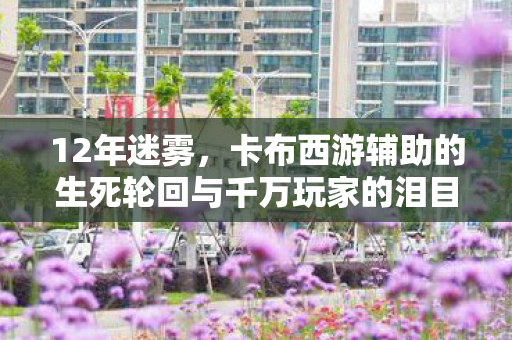 12年迷雾，卡布西游辅助的生死轮回与千万玩家的泪目真相