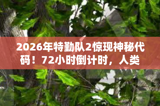 2026年特勤队2惊现神秘代码图片
