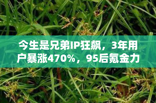 95后氪金力碾压传统社交赛道图片