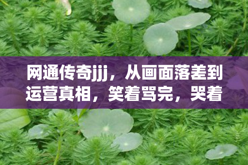 从画面落差到运营真相图片