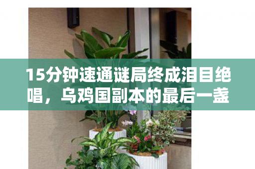 15分钟速通谜局终成泪目绝唱图片