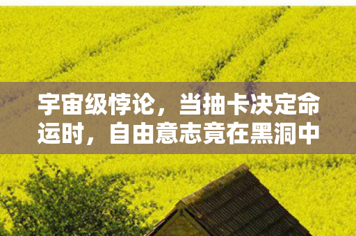 自由意志竟在黑洞中灵魂震颤图片