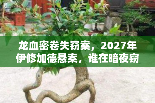 2027年伊修加德悬案图片