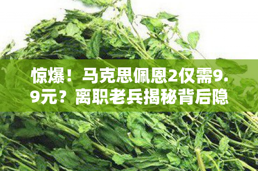 离职老兵揭秘背后隐情图片