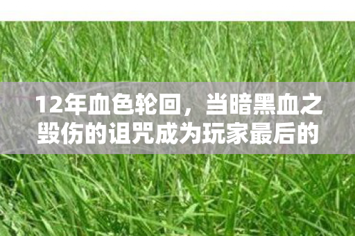 当暗黑血之毁伤的诅咒成为玩家最后的墓碑图片