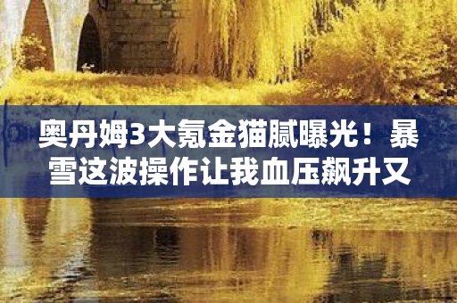 暴雪这波操作让我血压飙升又真香图片