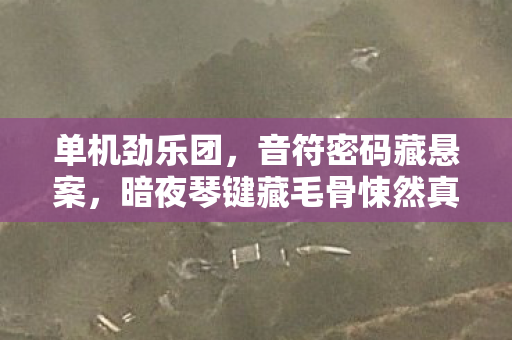 暗夜琴键藏毛骨悚然真相图片
