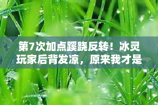 第7次加点蹊跷反转图片