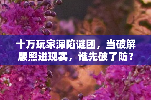 十万玩家深陷谜团图片