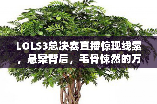 LOLS3总决赛直播惊现线索图片