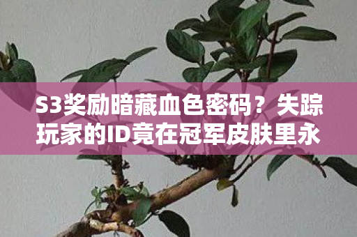 失踪玩家的ID竟在冠军皮肤里永生图片