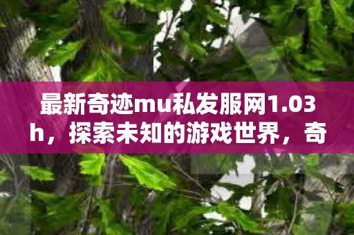 最新奇迹mu私发服网1.03h，探索未知的游戏世界，奇迹mu私发服网1.03h，探索未知游戏世界的冒险之旅