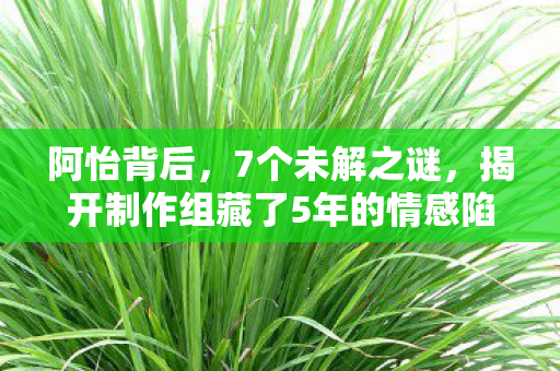 揭开制作组藏了5年的情感陷阱图片