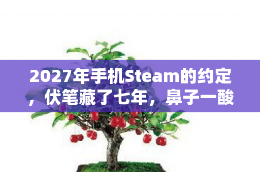 2027年手机Steam的约定图片
