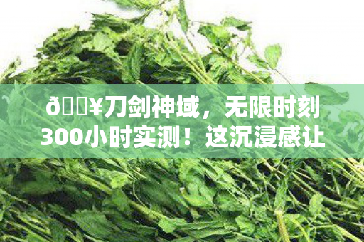 无限时刻300小时实测图片