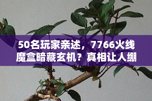 7766火线魔盒暗藏玄机图片