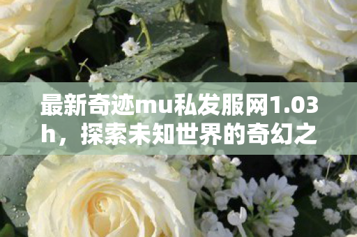 最新奇迹mu私发服网1图片