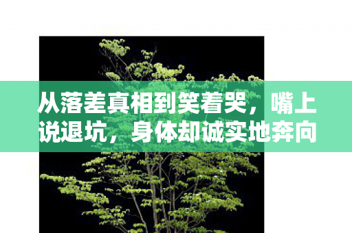 身体却诚实地奔向黑市图片