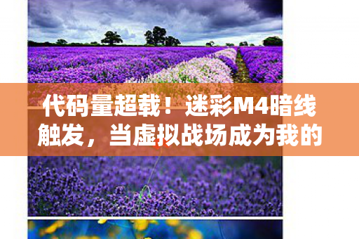 当虚拟战场成为我的生存法则图片