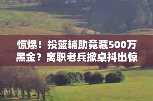 投篮辅助竟藏500万黑金图片