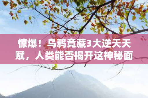 人类能否揭开这神秘面纱图片
