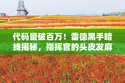 指挥官的头皮发麻逆袭图片