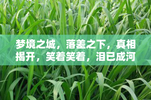 梦境之城图片