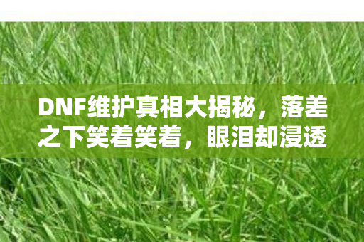 DNF维护真相大揭秘图片