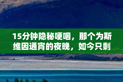 那个为斯维因通宵的夜晚图片