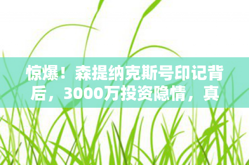 森提纳克斯号印记背后图片