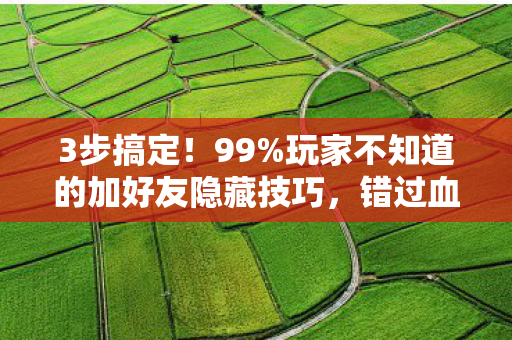 玩家不知道的加好友隐藏技巧图片