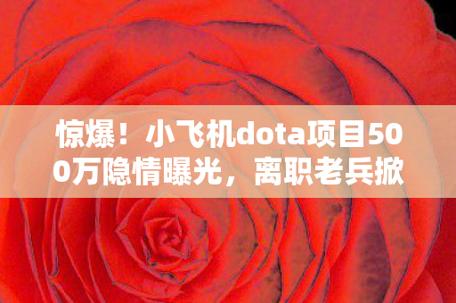 小飞机dota项目500万隐情曝光图片
