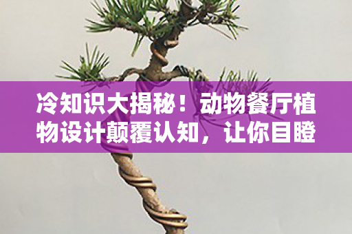 动物餐厅植物设计颠覆认知图片