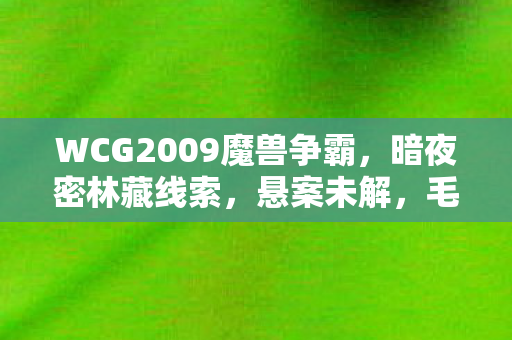 WCG2009魔兽争霸图片