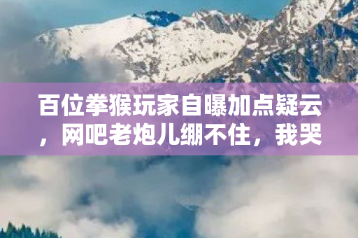 百位拳猴玩家自曝加点疑云图片