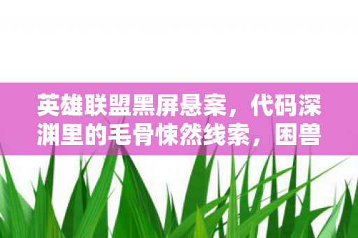 代码深渊里的毛骨悚然线索图片