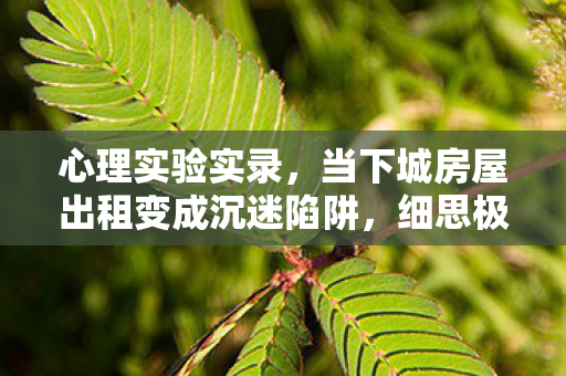 当下城房屋出租变成沉迷陷阱图片