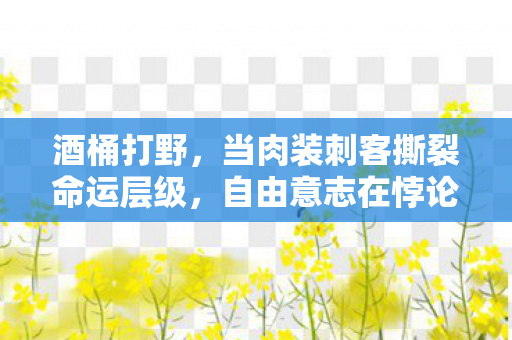 当肉装刺客撕裂命运层级图片