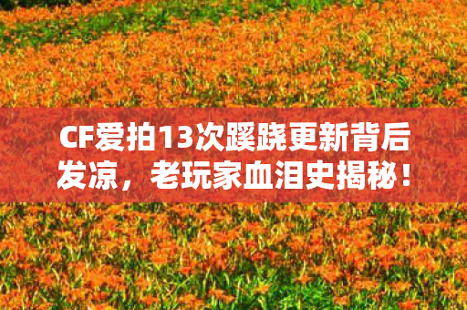 CF爱拍13次蹊跷更新背后发凉图片