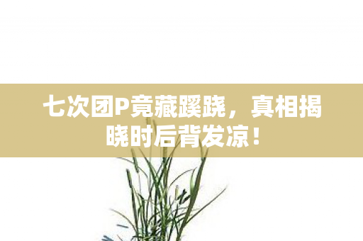 真相揭晓时后背发凉图片