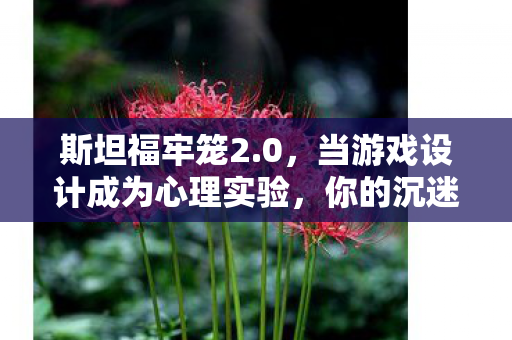 当游戏设计成为心理实验图片