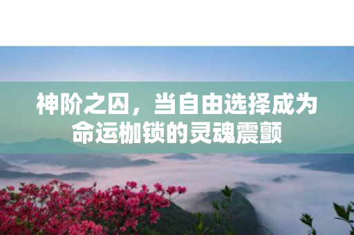 当自由选择成为命运枷锁的灵魂震颤图片