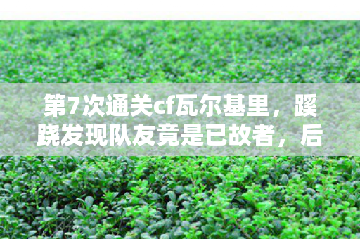 第7次通关cf瓦尔基里图片