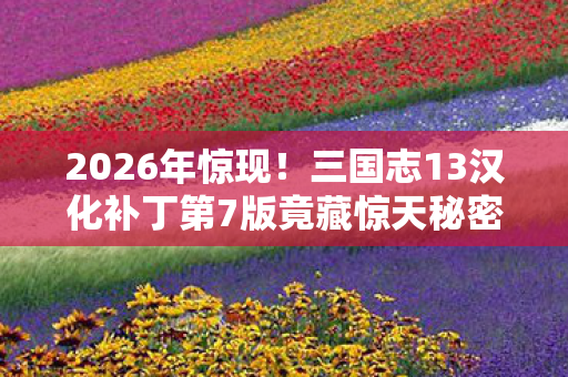 三国志13汉化补丁第7版竟藏惊天秘密图片