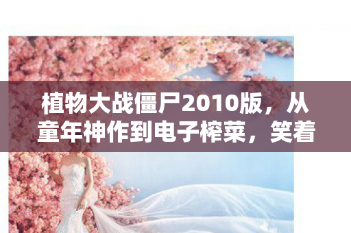 植物大战僵尸2010版图片