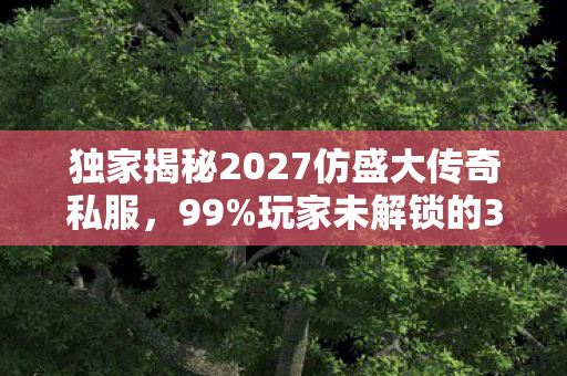 独家揭秘2027仿盛大传奇私服图片