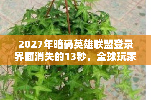 2027年暗码英雄联盟登录界面消失的13秒图片